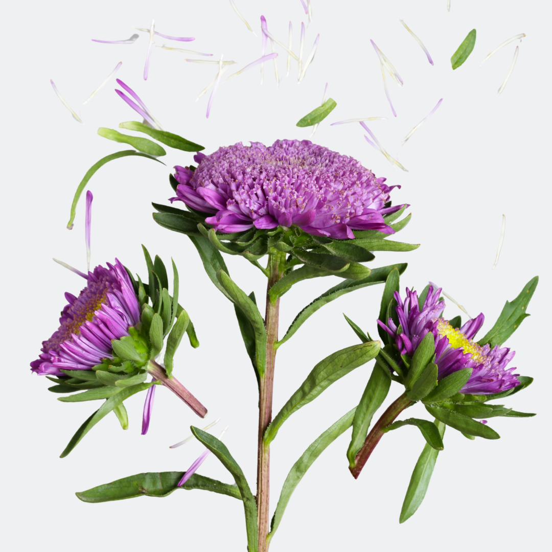 1 1