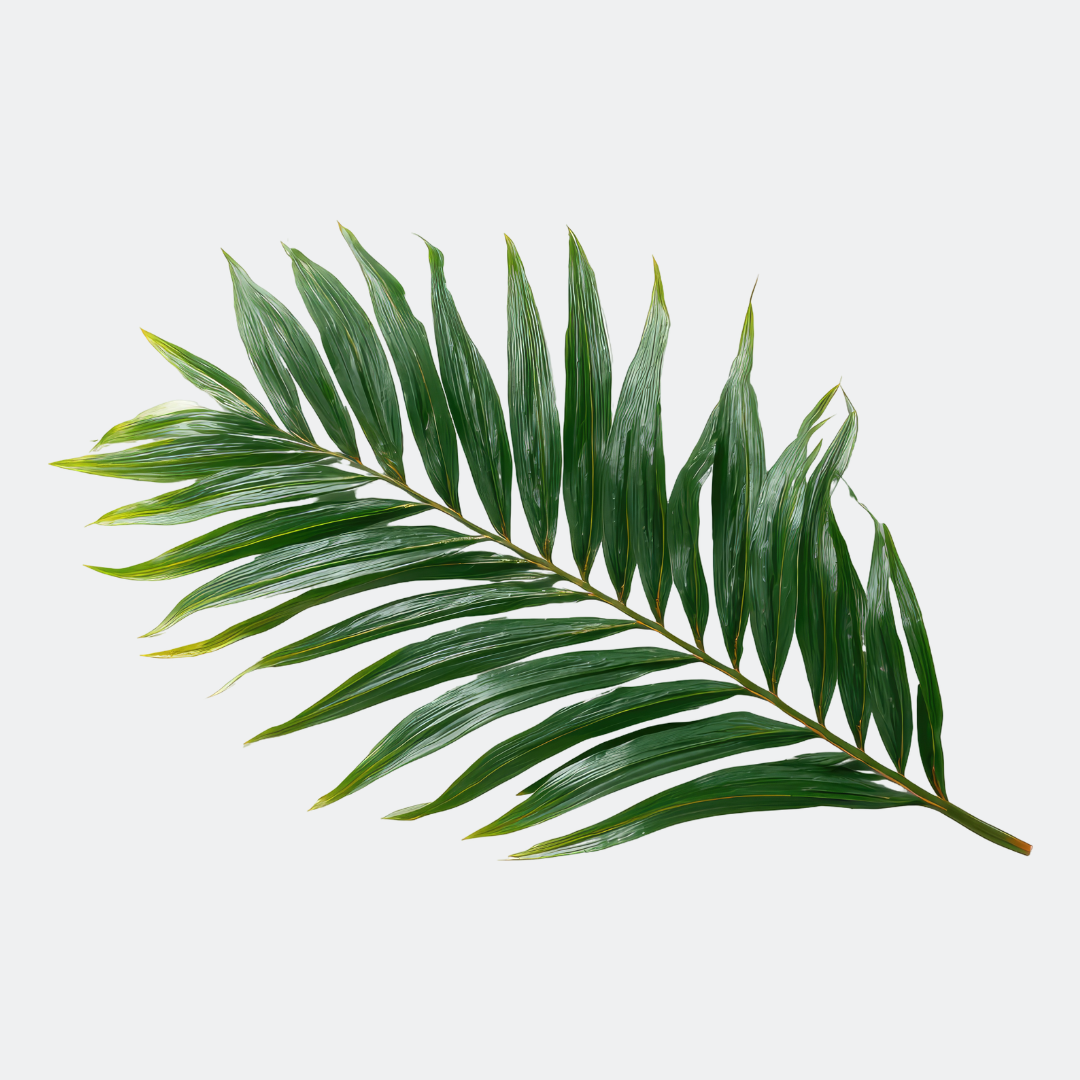 Palm Leaf Green Exotic Foliage Single Stem