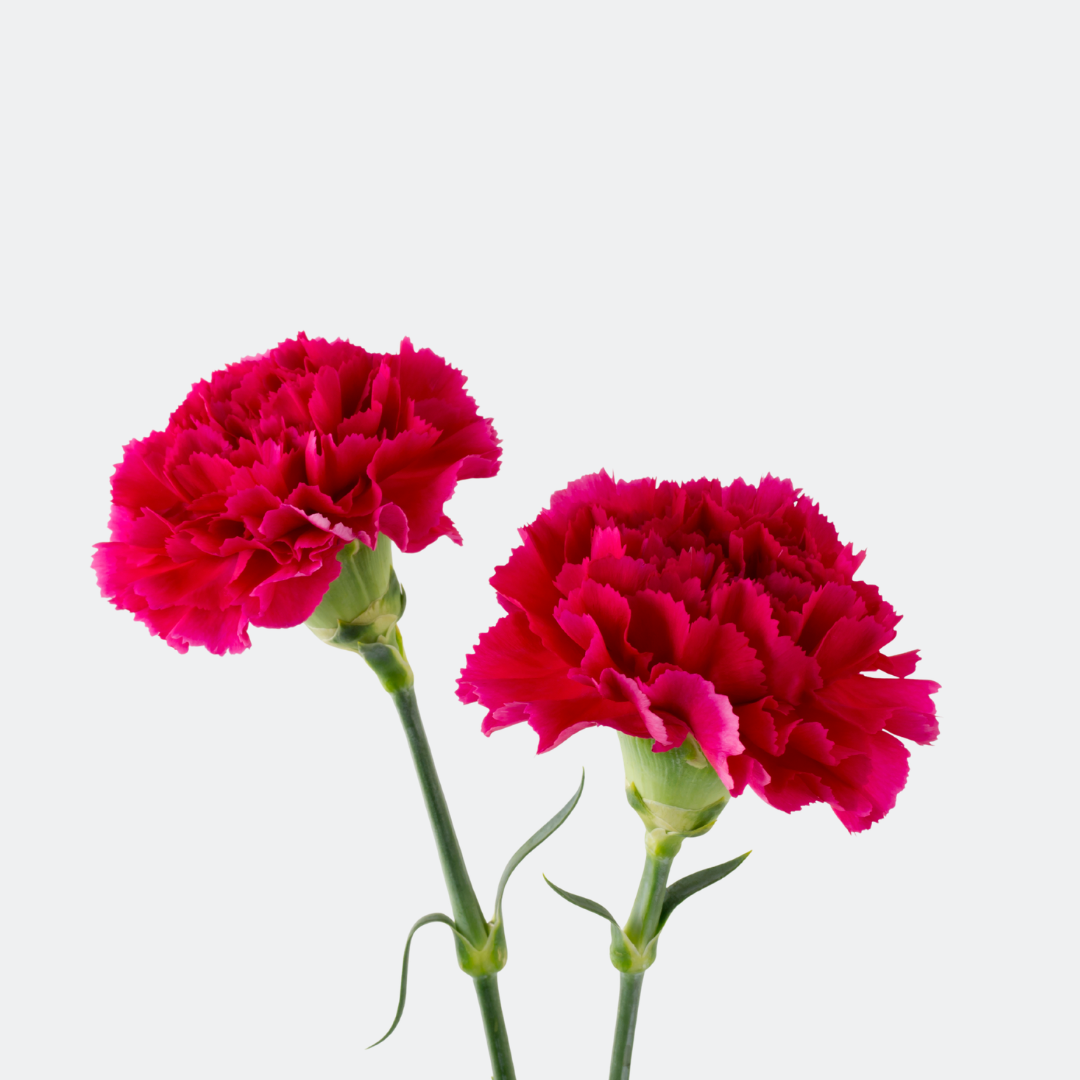 2 2
