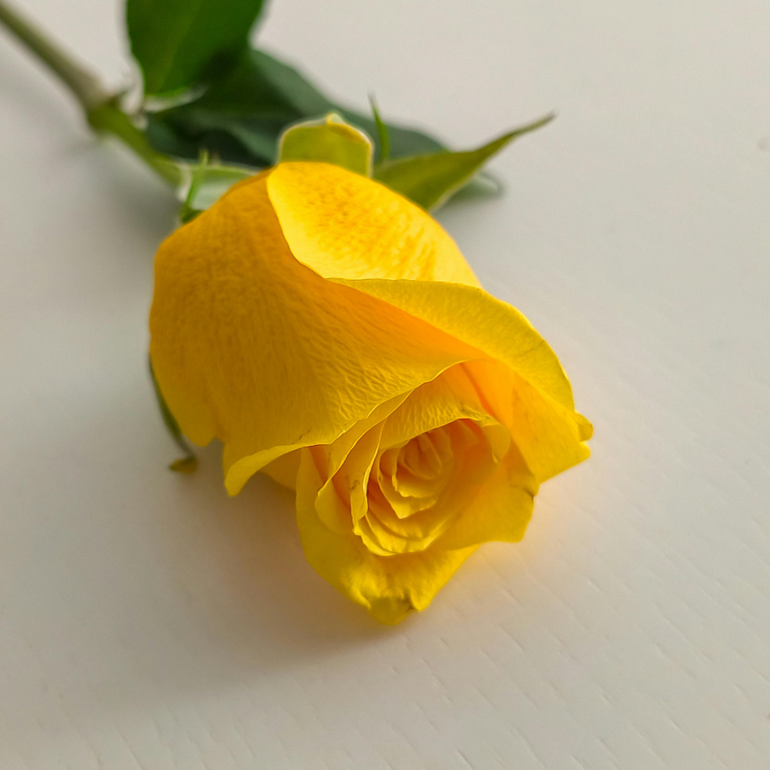 2 2