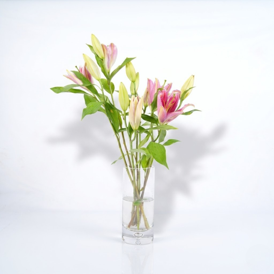 Pink Lily – Fresh Premium Stems