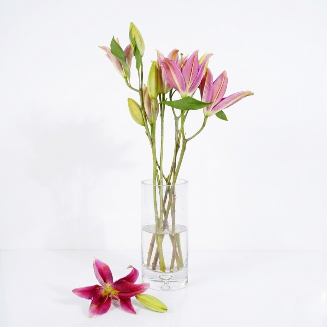 Subhash Floratic – Product images (1) Subhash Floratic – Product images (1)